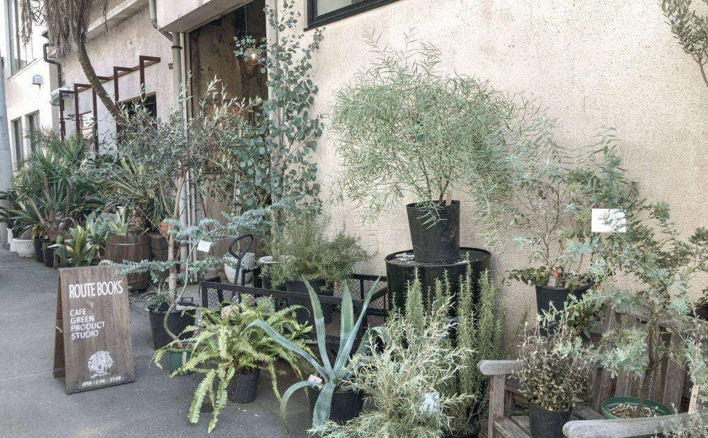 東京都心で観葉植物に囲まれるグリーンカフェ レストラン5選 Erina West Diary