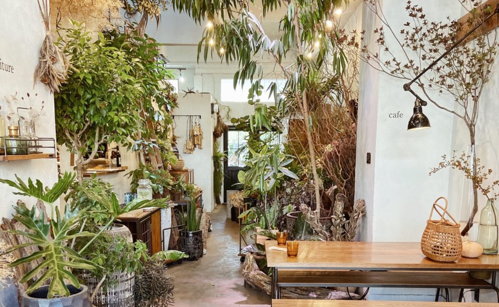 東京都心で観葉植物に囲まれるグリーンカフェ レストラン5選 Erina West Diary