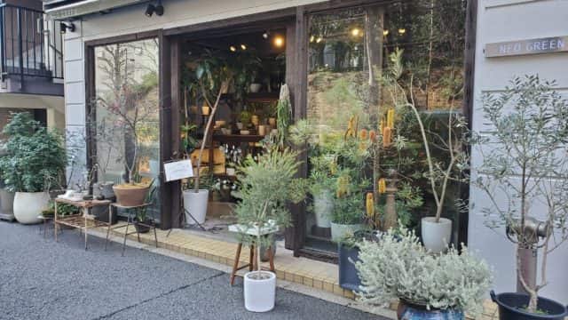東京 代々木周辺 素敵な観葉植物に出会える園芸店5選 旅と暮らしメディア
