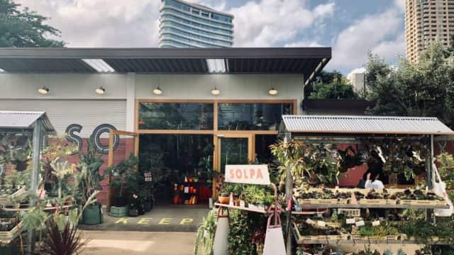 東京カフェ 素敵な観葉植物に囲まれるボタニカルカフェ レストラン6選 表参道 乃木坂 目黒 上野 旅と暮らしメディア