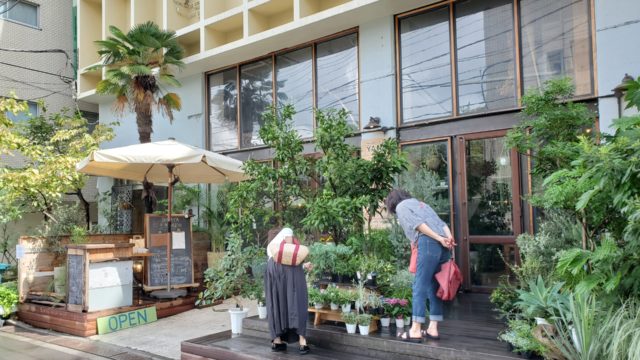 東京カフェ 素敵な観葉植物に囲まれるボタニカルカフェ レストラン6選 表参道 乃木坂 目黒 上野 旅と暮らしメディア