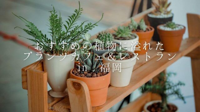 福岡植物カフェ